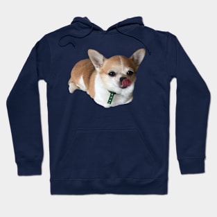 Loaf Tippi Hoodie